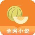 甜瓜小说阅读器appv1.3.4