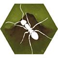 最后的蚂蚁汉化版v2.5.1