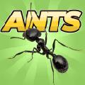 口袋蚂蚁模拟器v0.0591