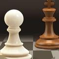 天天国际象棋v1.0.0