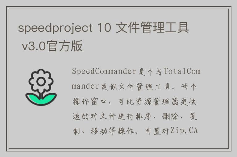 speedproject 10 文件管理工具 v3.0官方版