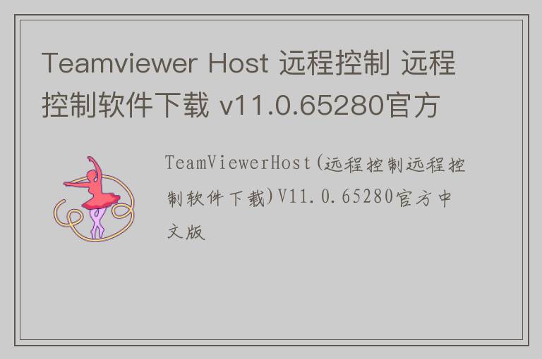 Teamviewer Host 远程控制 远程控制软件下载 v11.0.65280官方中文版
