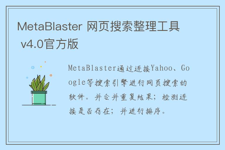 MetaBlaster 网页搜索整理工具 v4.0官方版