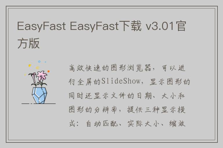 EasyFast EasyFast下载 v3.01官方版