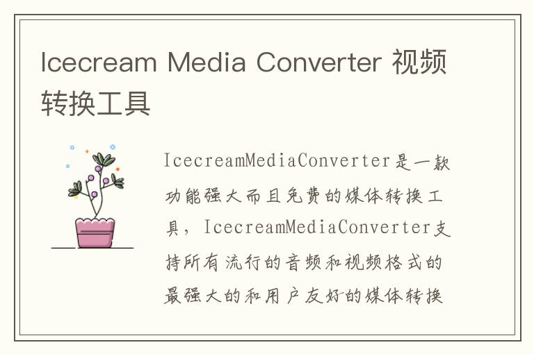 Icecream Media Converter 视频转换工具