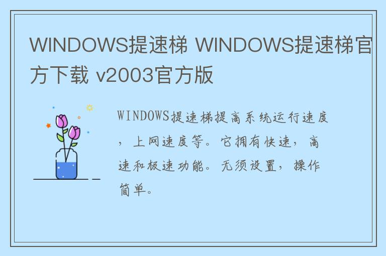 WINDOWS提速梯 WINDOWS提速梯官方下载 v2003官方版