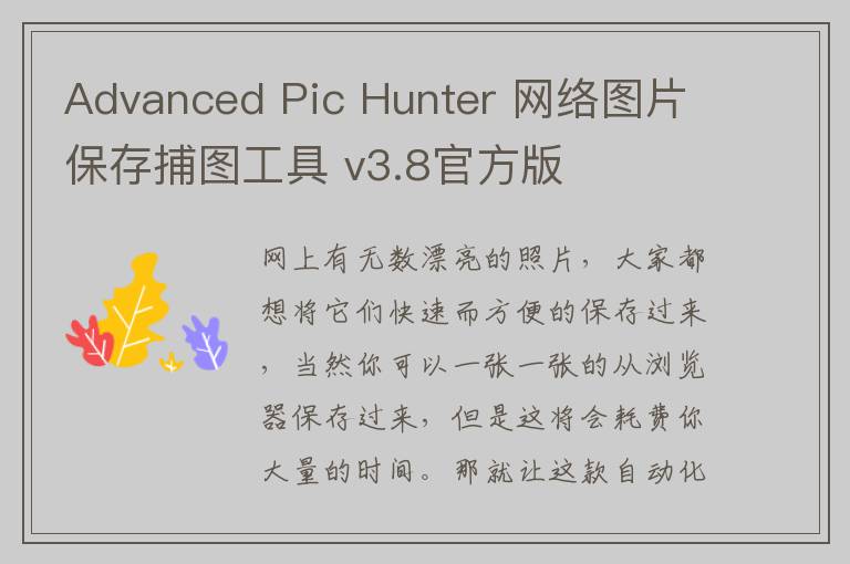 Advanced Pic Hunter 网络图片保存捕图工具 v3.8官方版