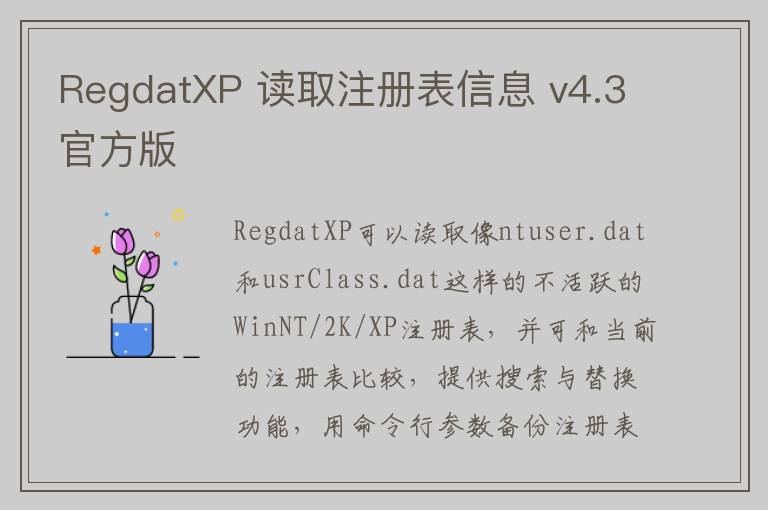 RegdatXP 读取注册表信息 v4.3官方版