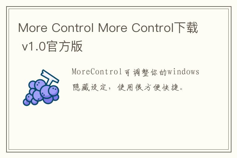 More Control More Control下载 v1.0官方版