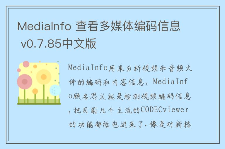 MediaInfo 查看多媒体编码信息 v0.7.85中文版