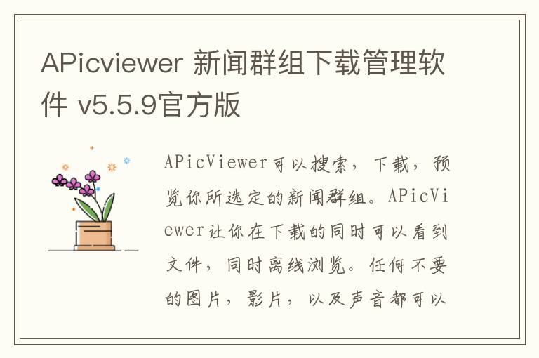 APicviewer 新闻群组下载管理软件 v5.5.9官方版