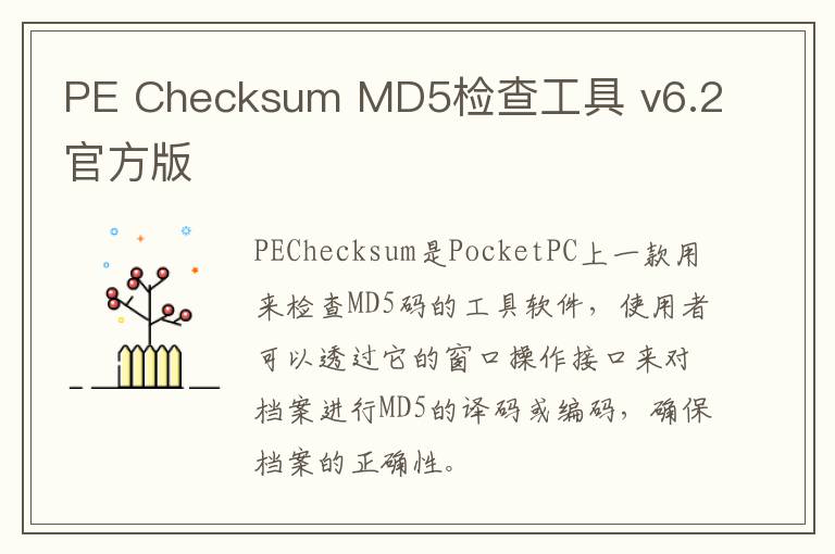 PE Checksum MD5检查工具 v6.2官方版