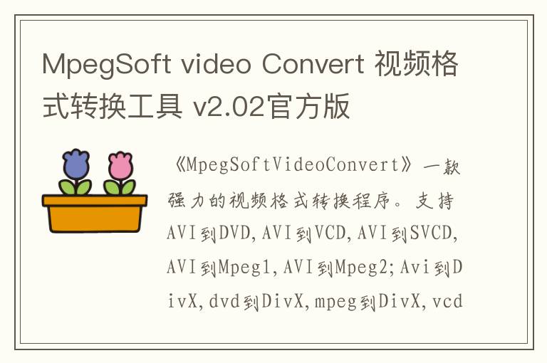 MpegSoft video Convert 视频格式转换工具 v2.02官方版