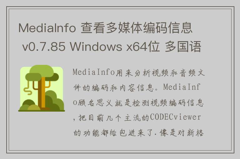 MediaInfo 查看多媒体编码信息 v0.7.85 Windows x64位 多国语言版