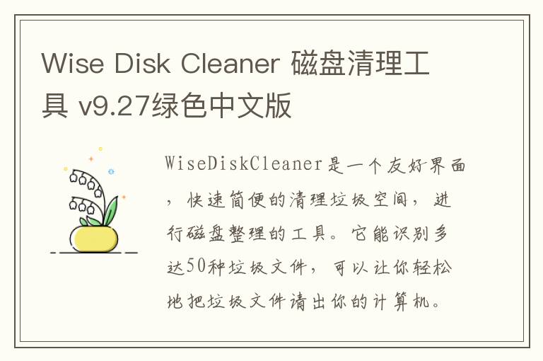 Wise Disk Cleaner 磁盘清理工具 v9.27绿色中文版