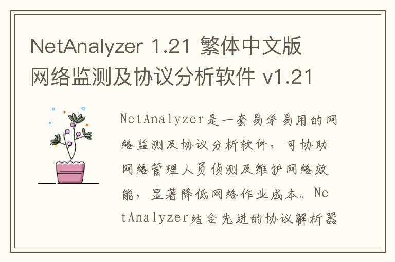 NetAnalyzer 1.21 繁体中文版 网络监测及协议分析软件 v1.21官方版