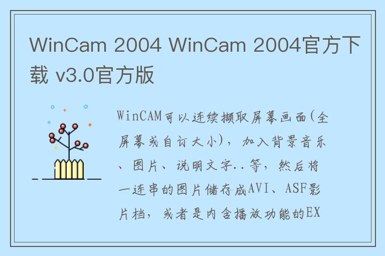 WinCam 2004 WinCam 2004官方下载 v3.0官方版