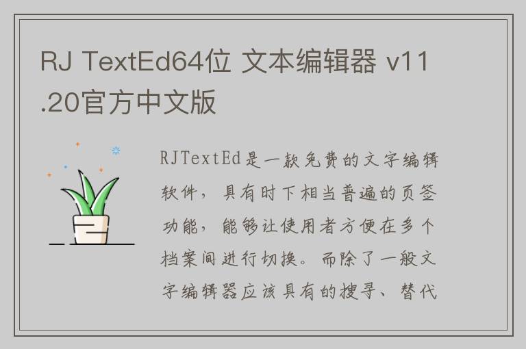 RJ TextEd64位 文本编辑器 v11.20官方中文版
