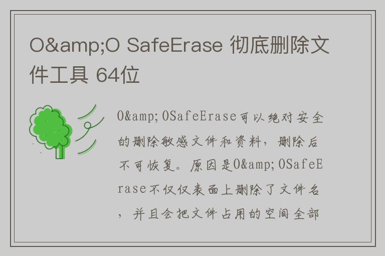 O&O SafeErase 彻底删除文件工具 64位