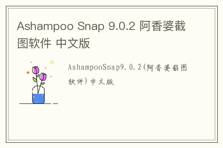 Ashampoo Snap 9.0.2 阿香婆截图软件 中文版