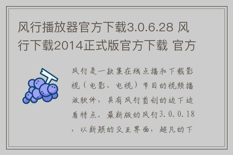 风行播放器官方下载3.0.6.28 风行下载2014正式版官方下载 官方版