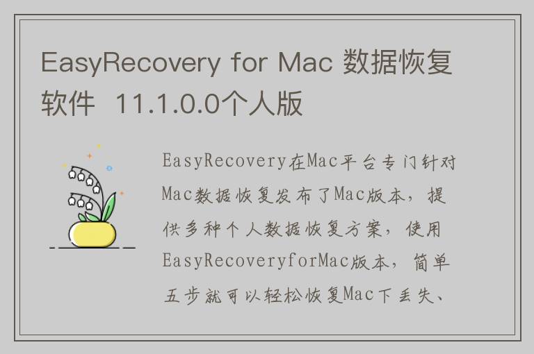 EasyRecovery for Mac 数据恢复软件  11.1.0.0个人版