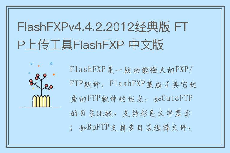 FlashFXPv4.4.2.2012经典版 FTP上传工具FlashFXP 中文版