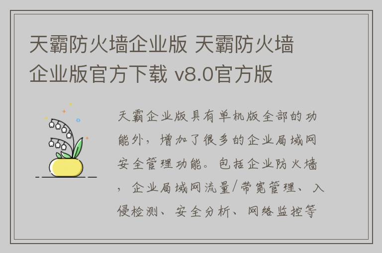 天霸防火墙企业版 天霸防火墙 企业版官方下载 v8.0官方版