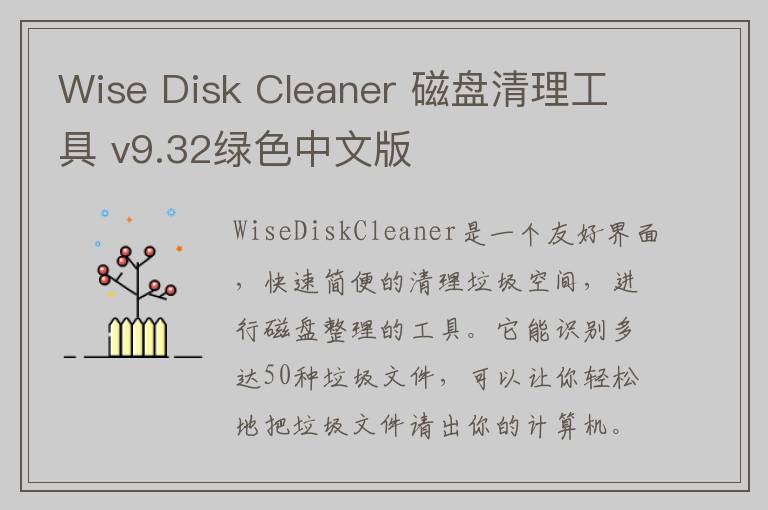 Wise Disk Cleaner 磁盘清理工具 v9.32绿色中文版