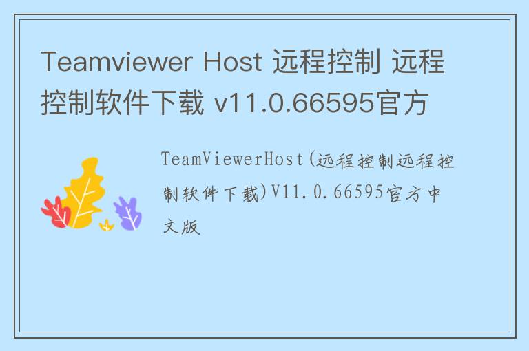Teamviewer Host 远程控制 远程控制软件下载 v11.0.66595官方中文版