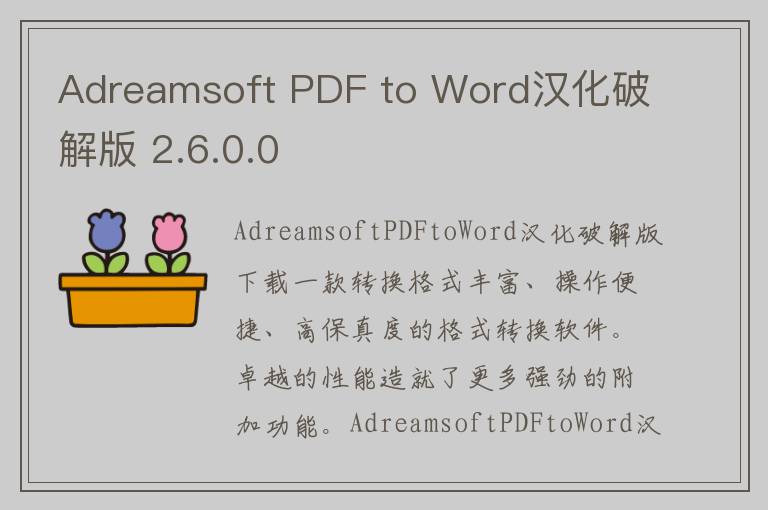 Adreamsoft PDF to Word汉化破解版 2.6.0.0