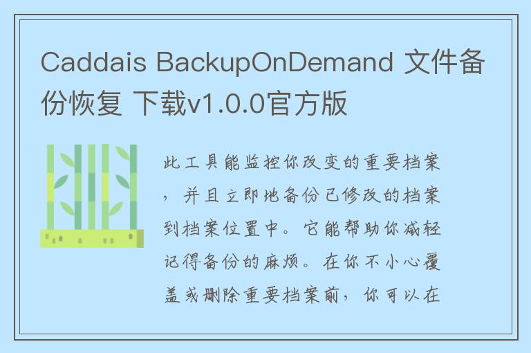 Caddais BackupOnDemand 文件备份恢复 下载v1.0.0官方版