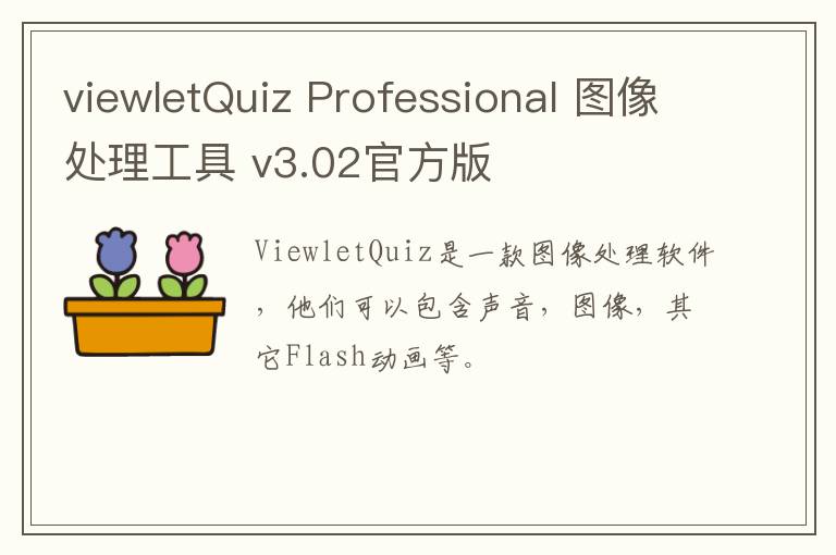 viewletQuiz Professional 图像处理工具 v3.02官方版