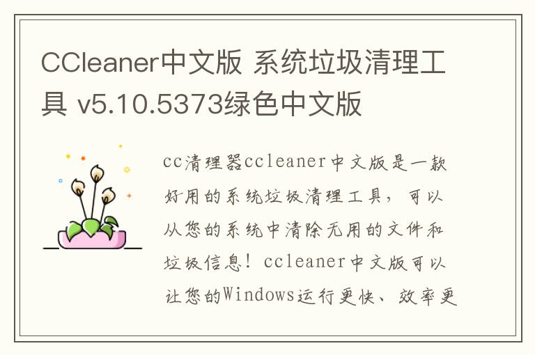 CCleaner中文版 系统垃圾清理工具 v5.10.5373绿色中文版