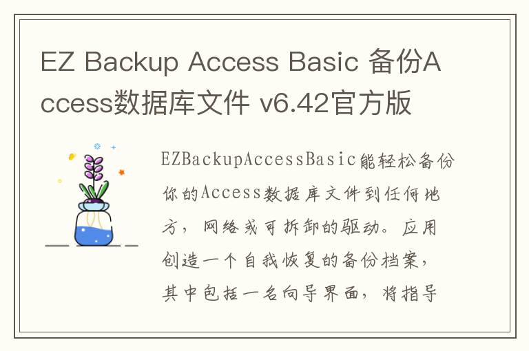 EZ Backup Access Basic 备份Access数据库文件 v6.42官方版