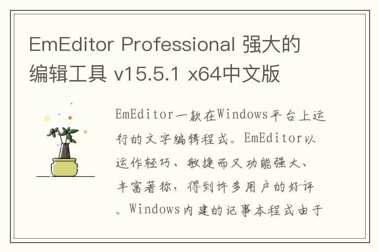 EmEditor Professional 强大的编辑工具 v15.5.1 x64中文版