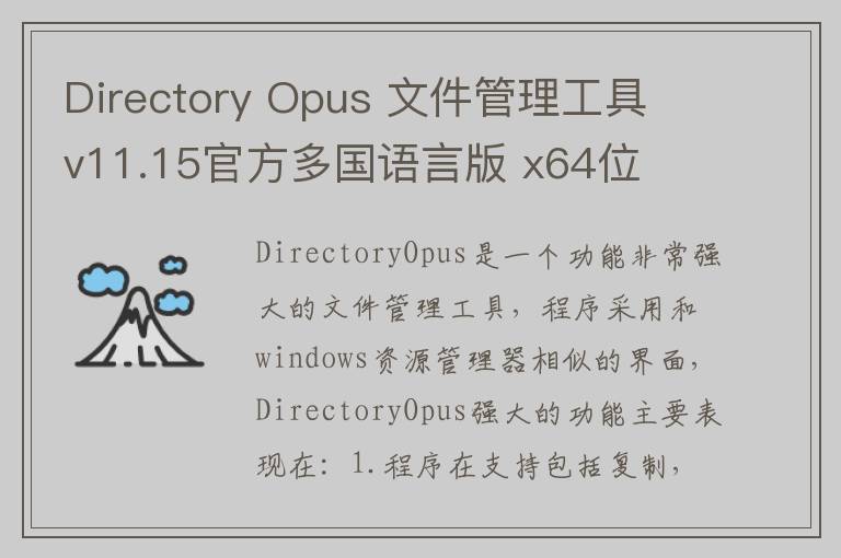 Directory Opus 文件管理工具 v11.15官方多国语言版 x64位