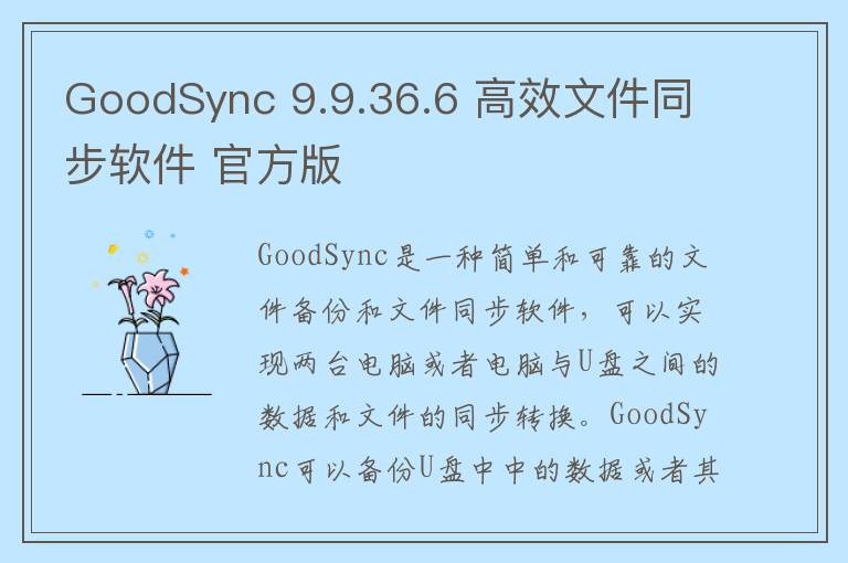 GoodSync 9.9.36.6 高效文件同步软件 官方版