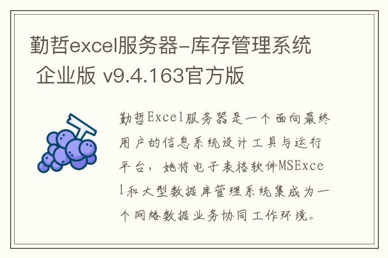 勤哲excel服务器-库存管理系统 企业版 v9.4.163官方版