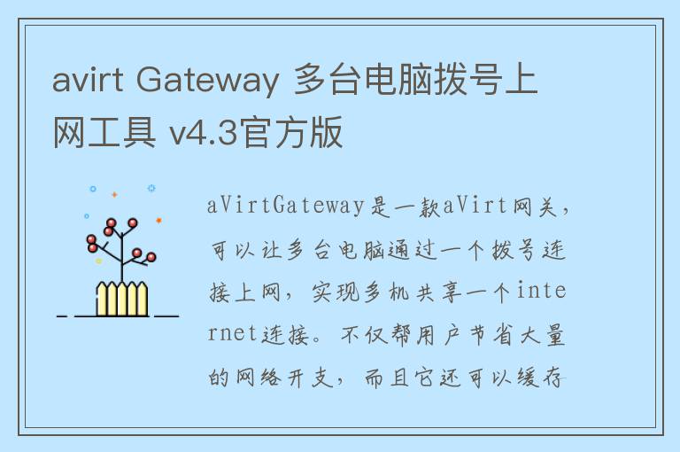avirt Gateway 多台电脑拨号上网工具 v4.3官方版