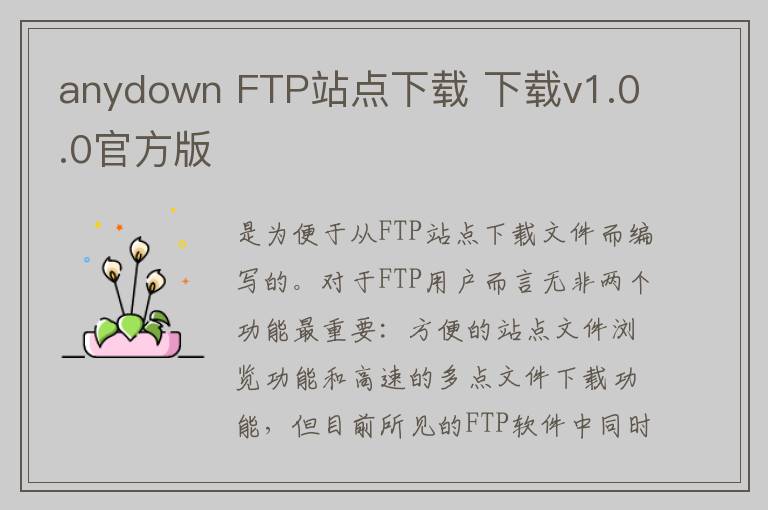 anydown FTP站点下载 下载v1.0.0官方版