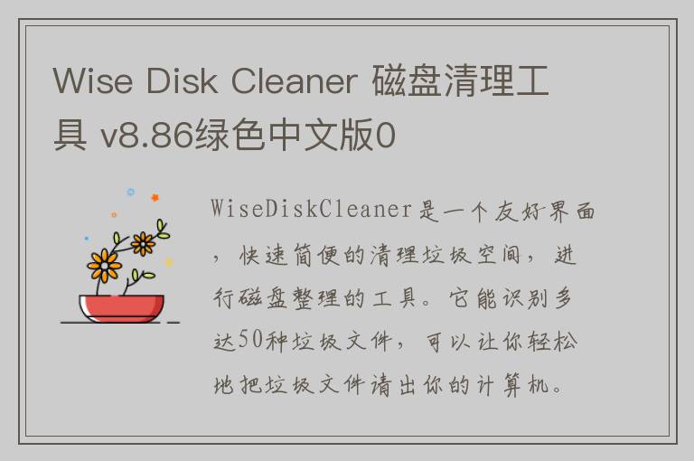 Wise Disk Cleaner 磁盘清理工具 v8.86绿色中文版0