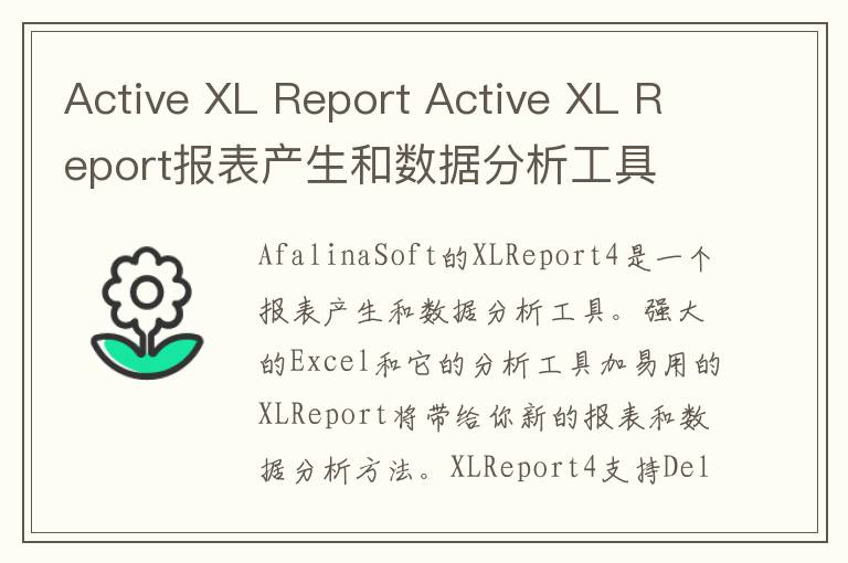 Active XL Report Active XL Report报表产生和数据分析工具 v4.5官方版