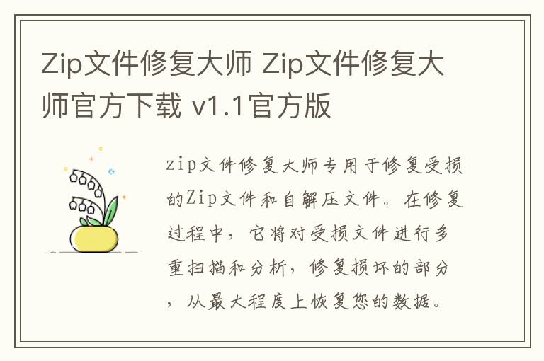 Zip文件修复大师 Zip文件修复大师官方下载 v1.1官方版