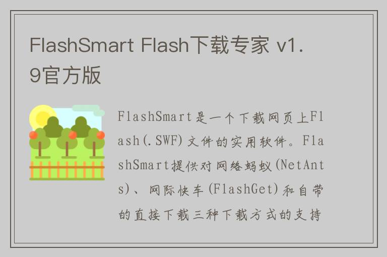 FlashSmart Flash下载专家 v1.9官方版