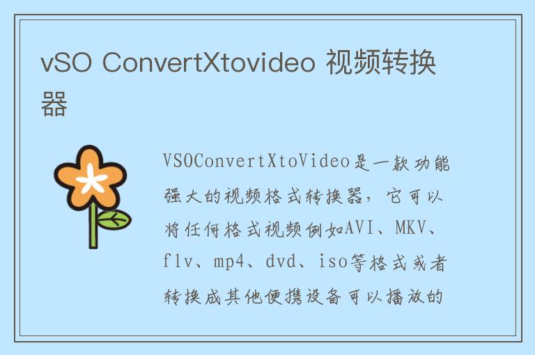 vSO ConvertXtovideo 视频转换器