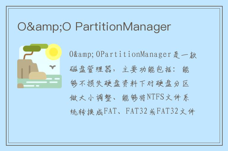 O&O PartitionManager