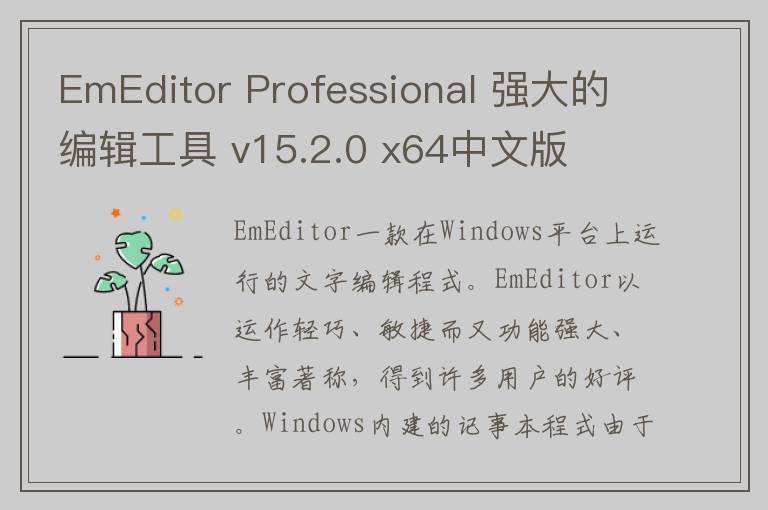 EmEditor Professional 强大的编辑工具 v15.2.0 x64中文版