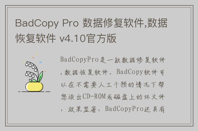 BadCopy Pro 数据修复软件,数据恢复软件 v4.10官方版