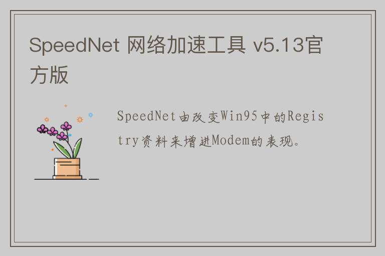 SpeedNet 网络加速工具 v5.13官方版